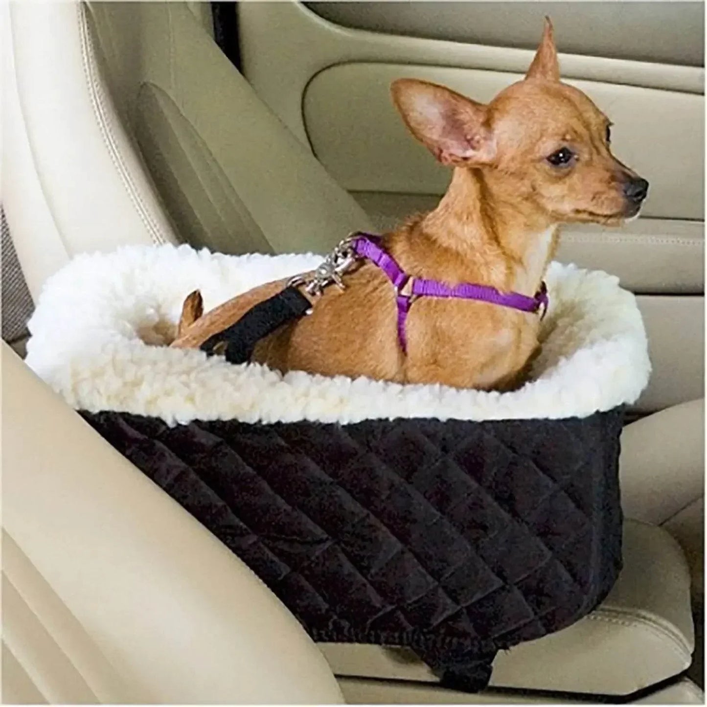 Car Pet Basket with Cushion – Doubles as a Home Dog Bed